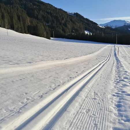 Schoners Einfanghof By Fewo-Planwild006 Niederau Esterno foto
